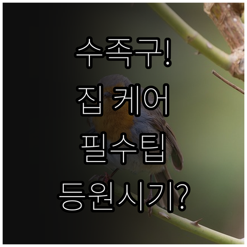 수족구 집에서 케어하는 방법과 등원 ..