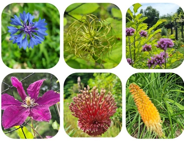 화순-허브정원-치유정원-허브뜨락