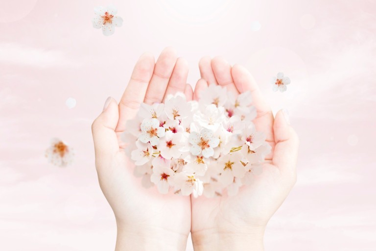 2023년 전국 벚꽃 축제 일정