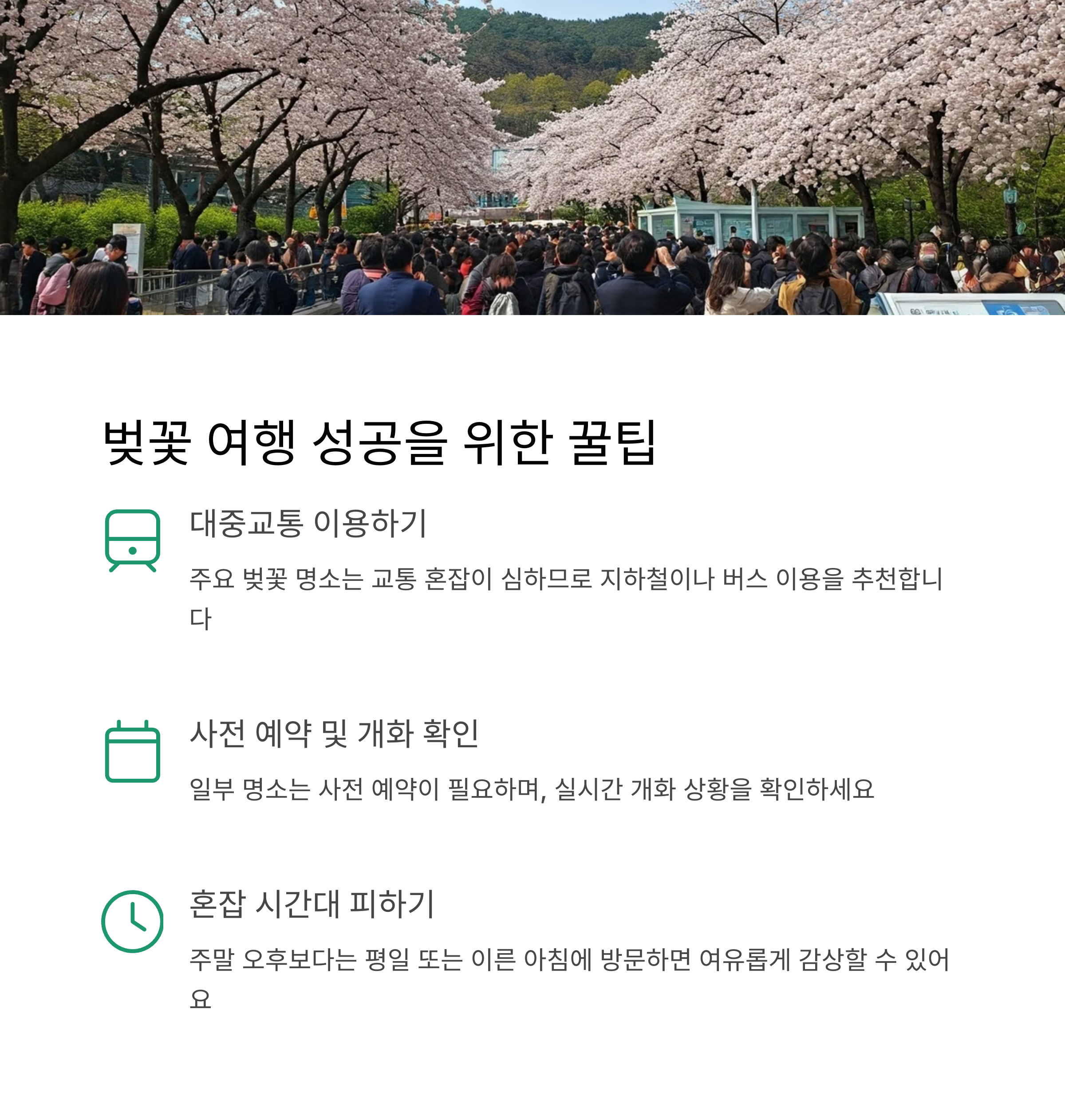 서울인천벚꽃