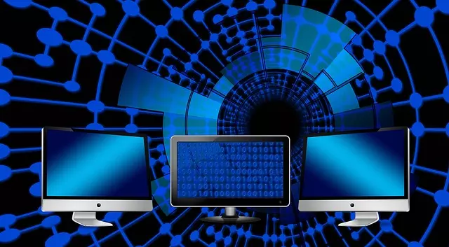 데이터 베이스 분야에 대한 사진