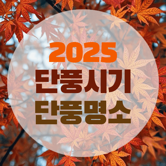 2025 단풍시기와 단풍명소에 대한 그림