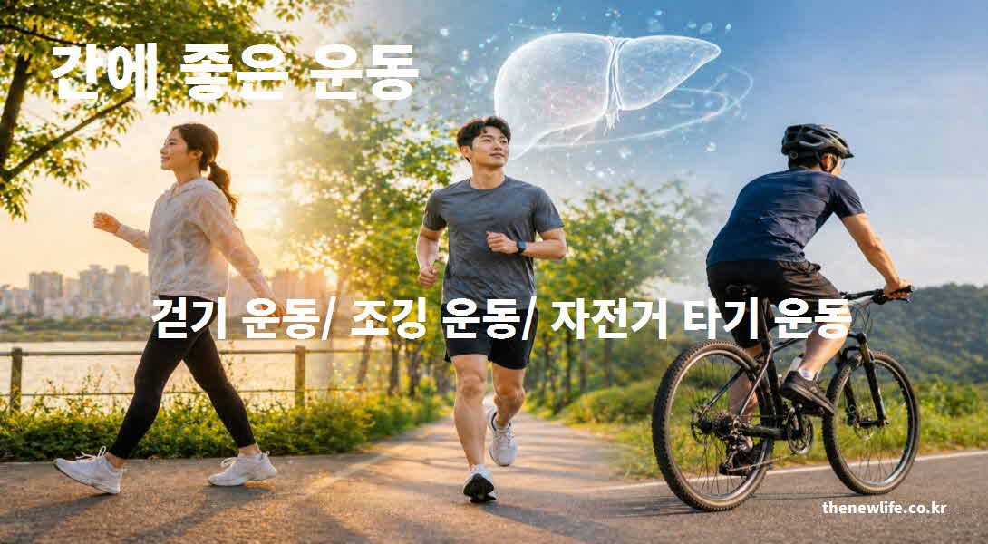 간 좋은 음식 운동