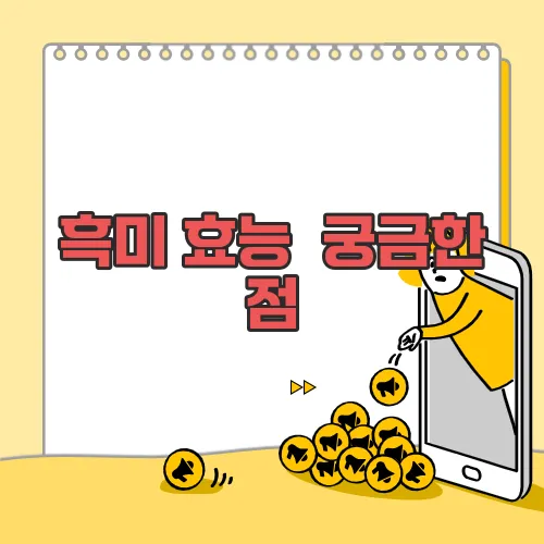 흑미 효능  궁금한 점, 풀어보죠