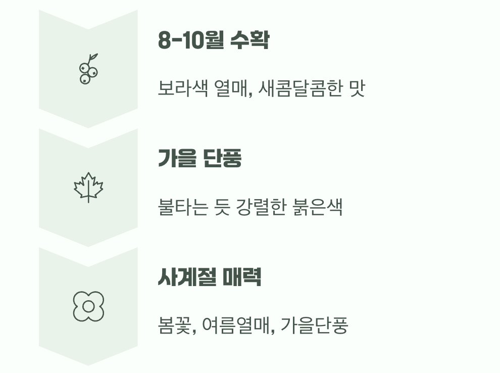수확의 기쁨, 그리고 단풍의 아름다움