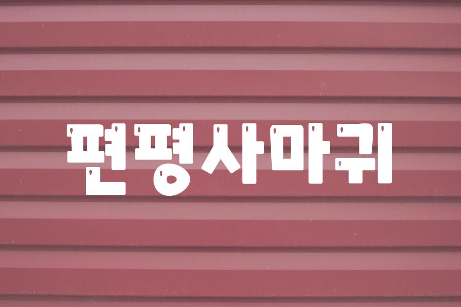 샘플 (54)