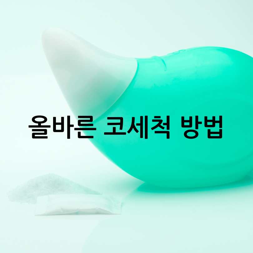 알레르기 비염 코세척 방법, 좋은점,주의사항