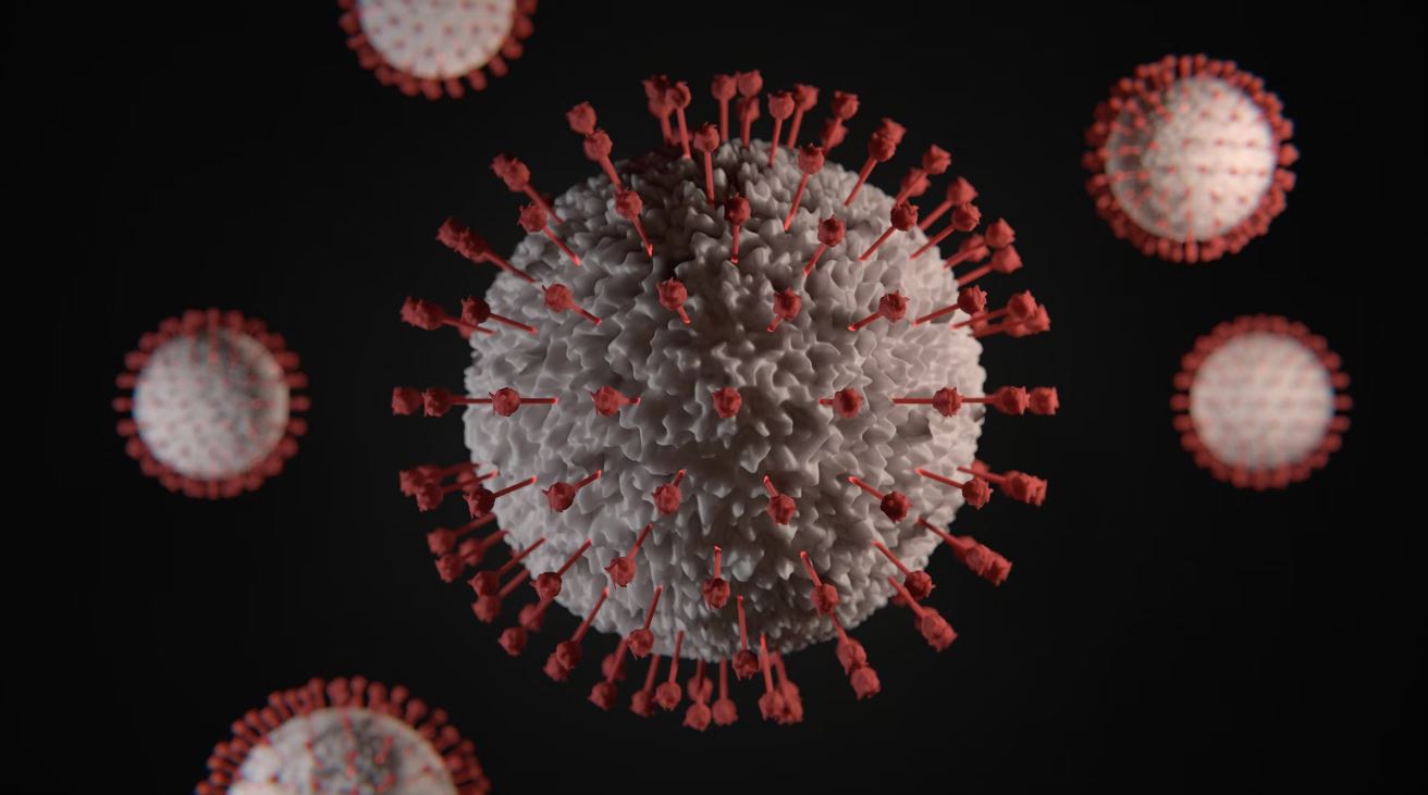 B형 간염 바이러스 이미지