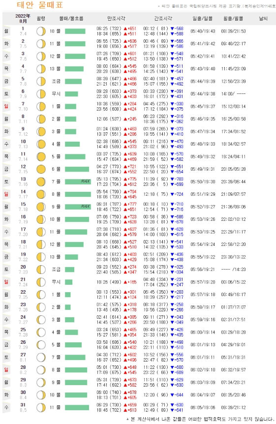 태안 8월 물때표