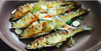 곡성 장미축제