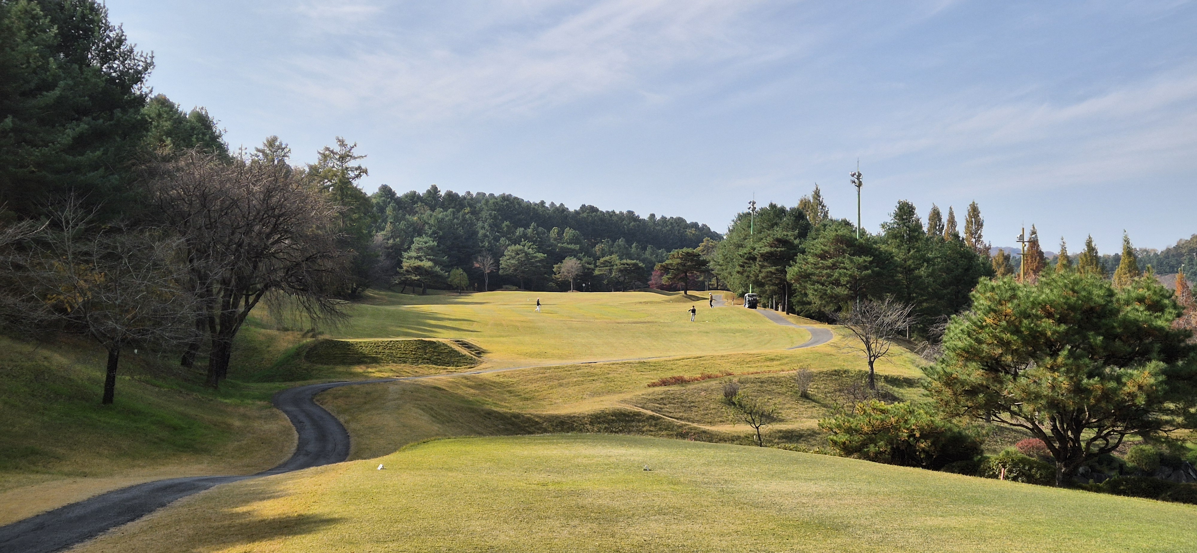 시그너스cc 실크코스 사진 및 공략 정보