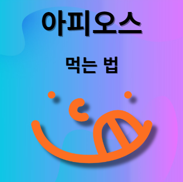 아피오스 먹는법