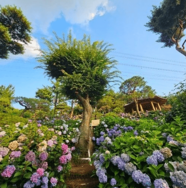 청주 공간조경 카페 포토스폿
