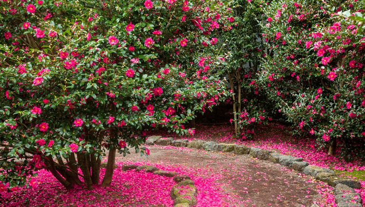 겨울 여행지 추천