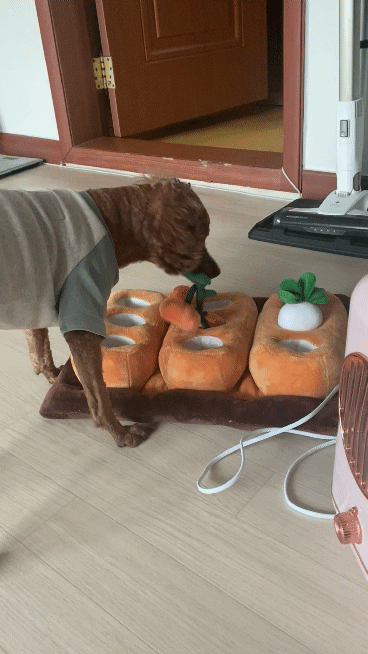 갤럭시gif저장완성