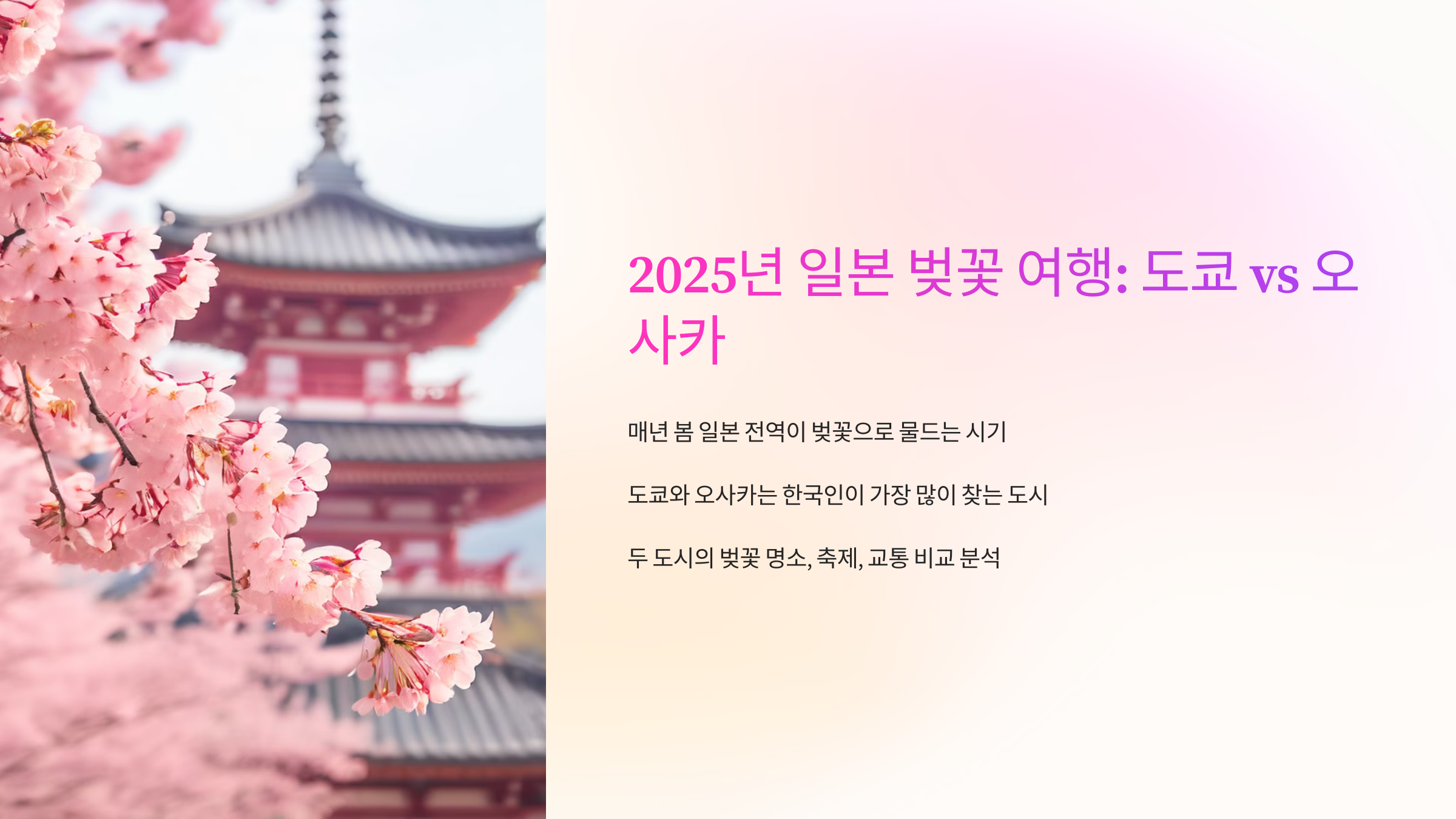 2025년일본벚꽃여행