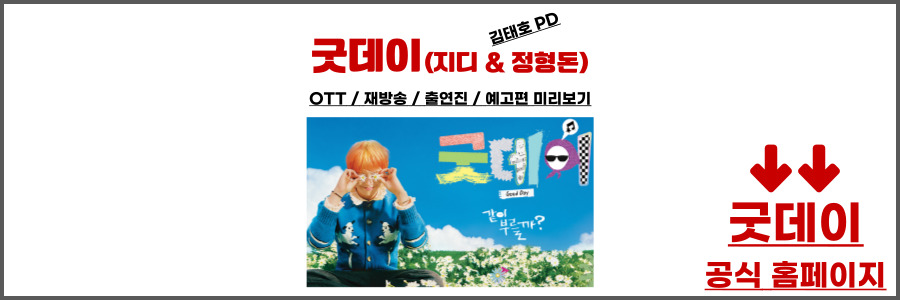 굿데이 ott