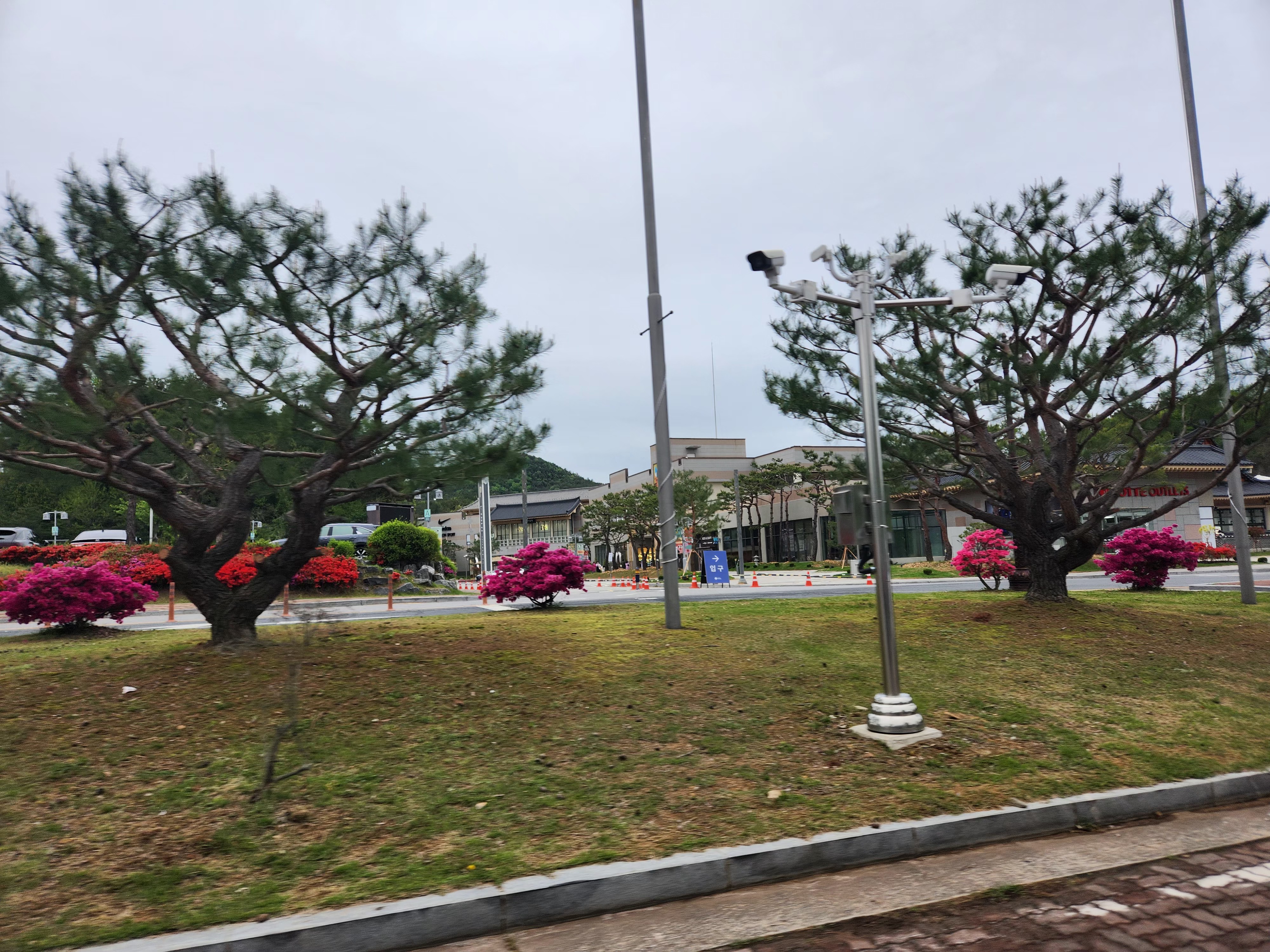 롯데아울렛