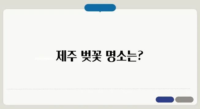 제주 벚꽃축제 2025! 벚꽃길 걷기 좋은 곳 추천