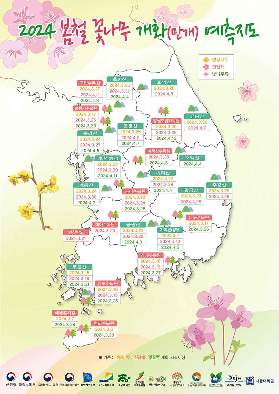 여의도벚꽃축제