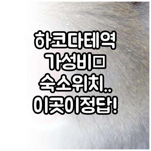 하코다테 여행 숙소 위치 정하기 하코..
