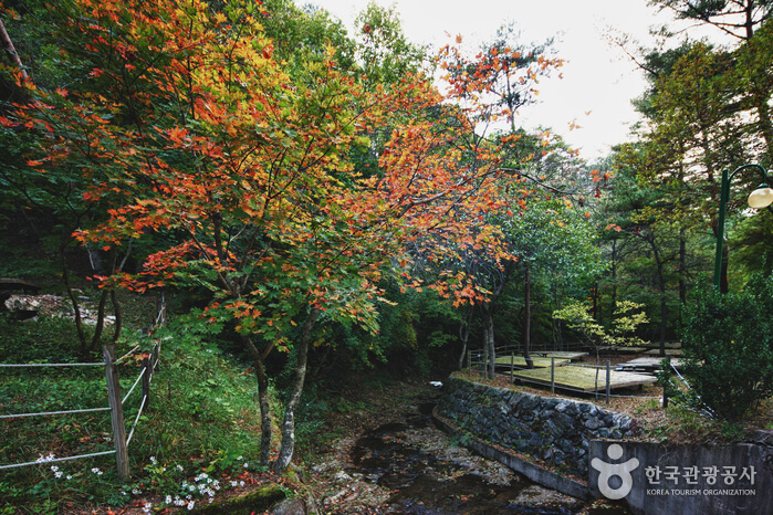 검마산 자연휴양림