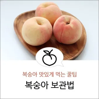 복숭아 보관방법과 싱싱하게 유지하는 팁_5