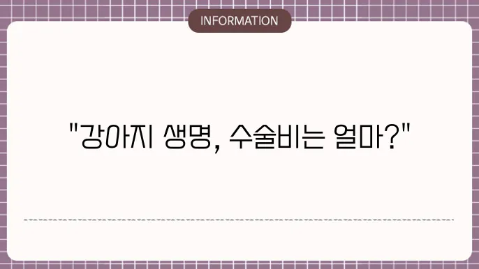 강아지 자궁축농증 수술 비용