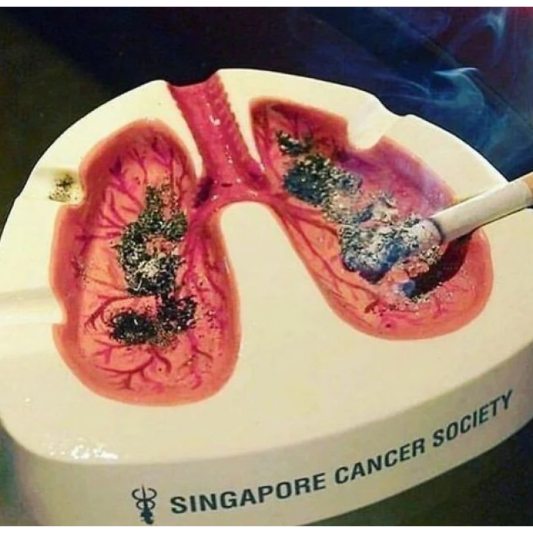 기억에 남는 브랜드 광고