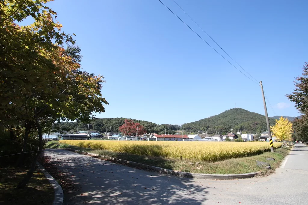 양평 물소리길 5코스 초반부 정겨운 별내체험마을 시골길 사진.