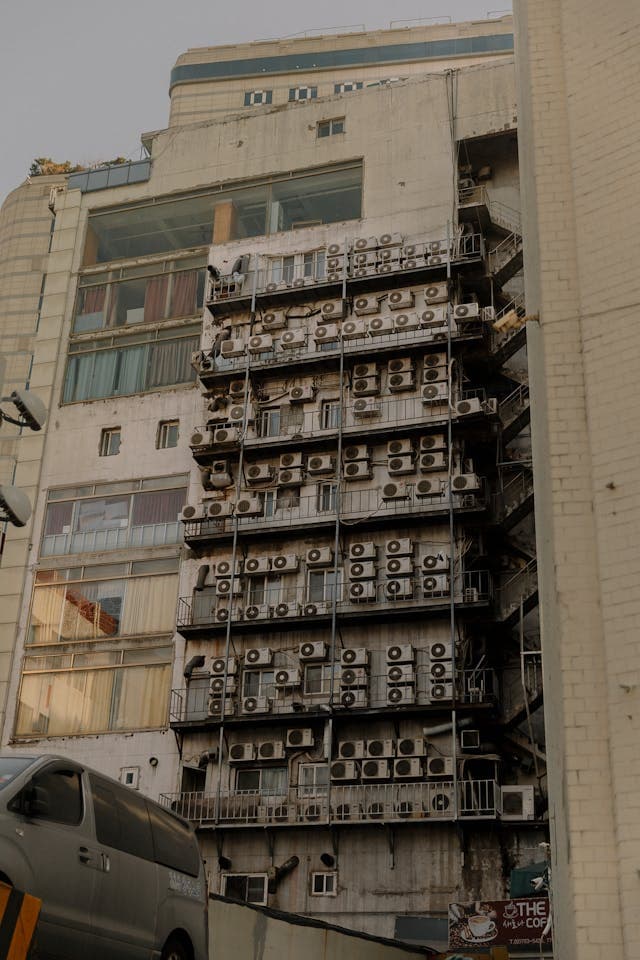 도시 열섬 효과와 미세기후 조절 식물