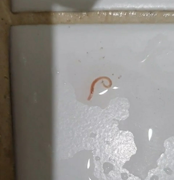 인천수돗물