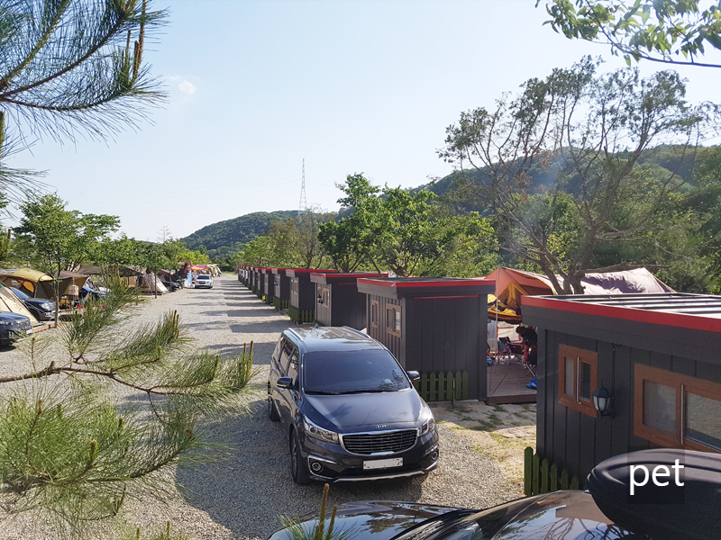 경기-연천-나린오토캠핑장-예약-방법-애견-동반-가격-주소-시간-후기