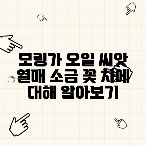 모링가 오일 씨앗 열매 소금 꽃 차에 대해 알아보기