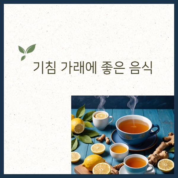 기침-가래에-좋은-음식