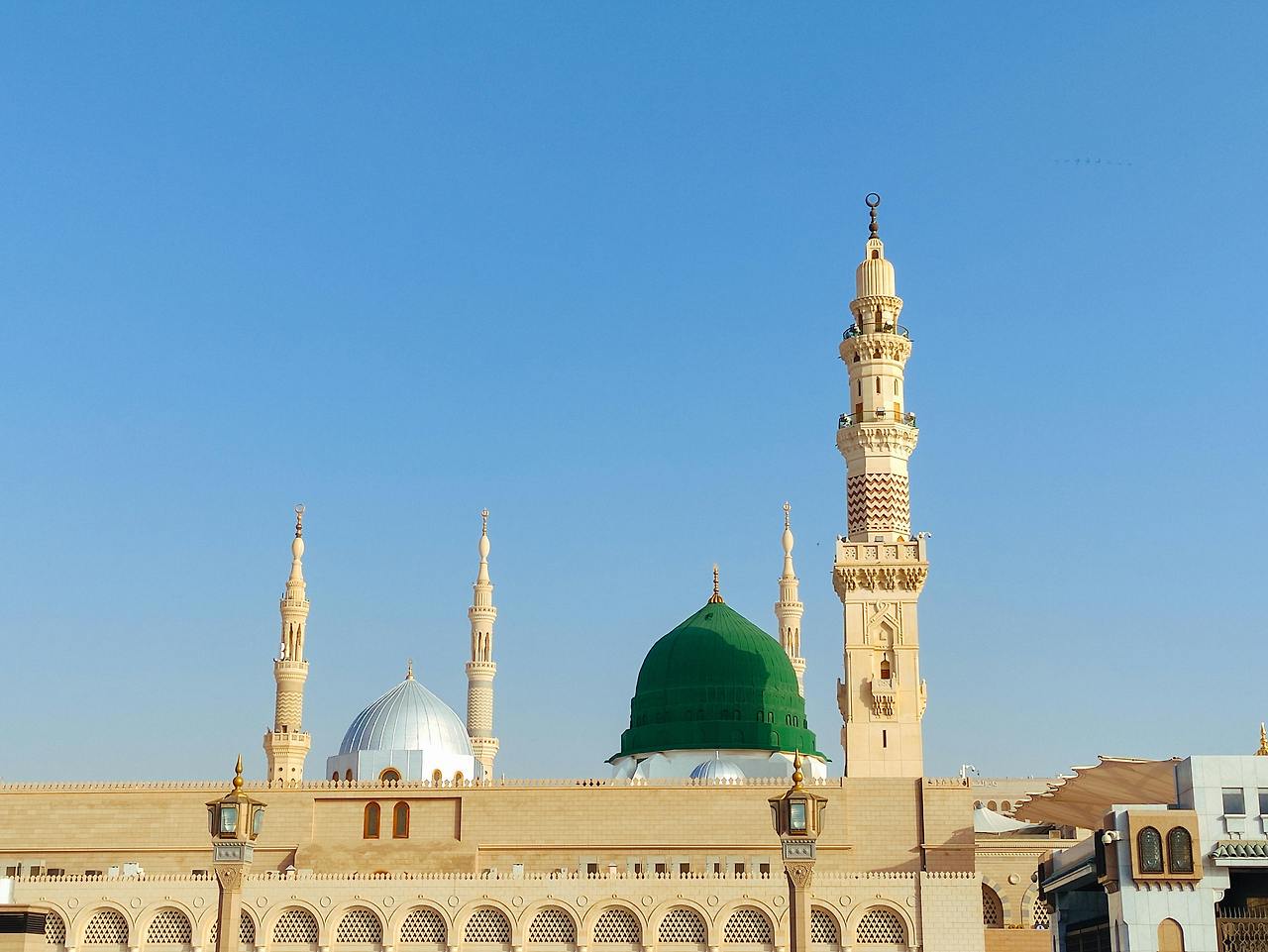 전세계 이상한 법률 🇸🇦 사우디아라비아 – 여성 운전 금지에서 허용까지