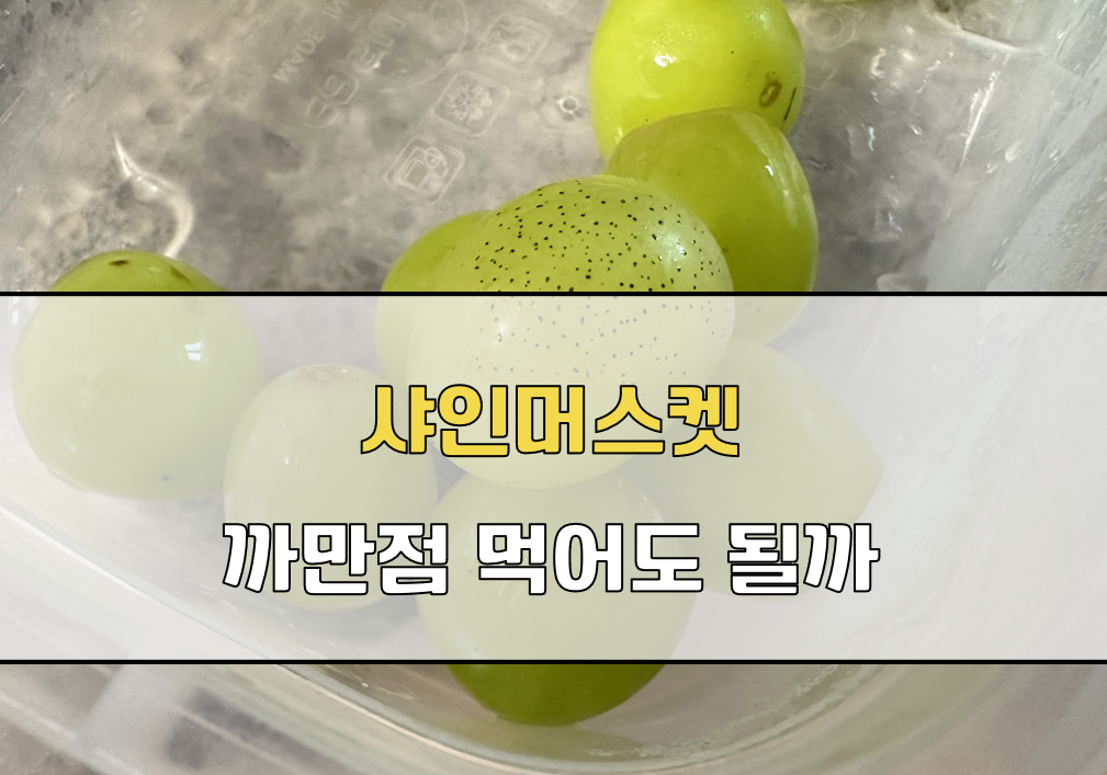 샤인머스켓 까만점