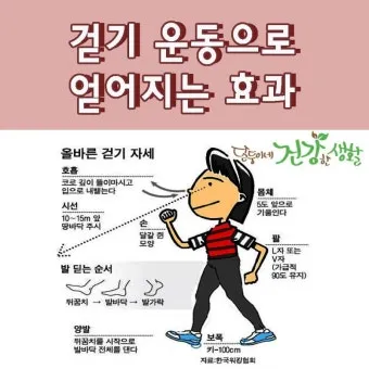 걷기운동 효과 좋은점 놀라운 효능 방법_2