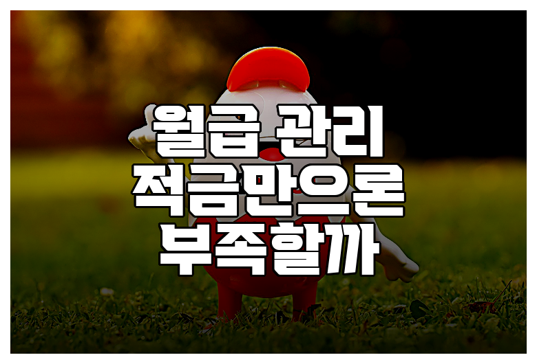 월급 관리 적금만으론 부족할까