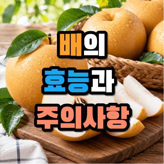 배의 효능