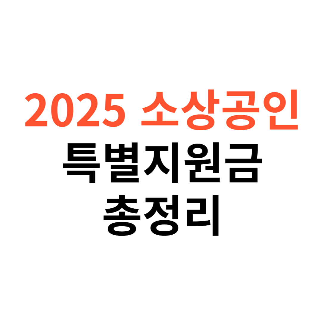 2025년 소상공인 특별지원금