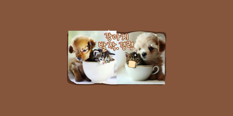 강아지발작.경련