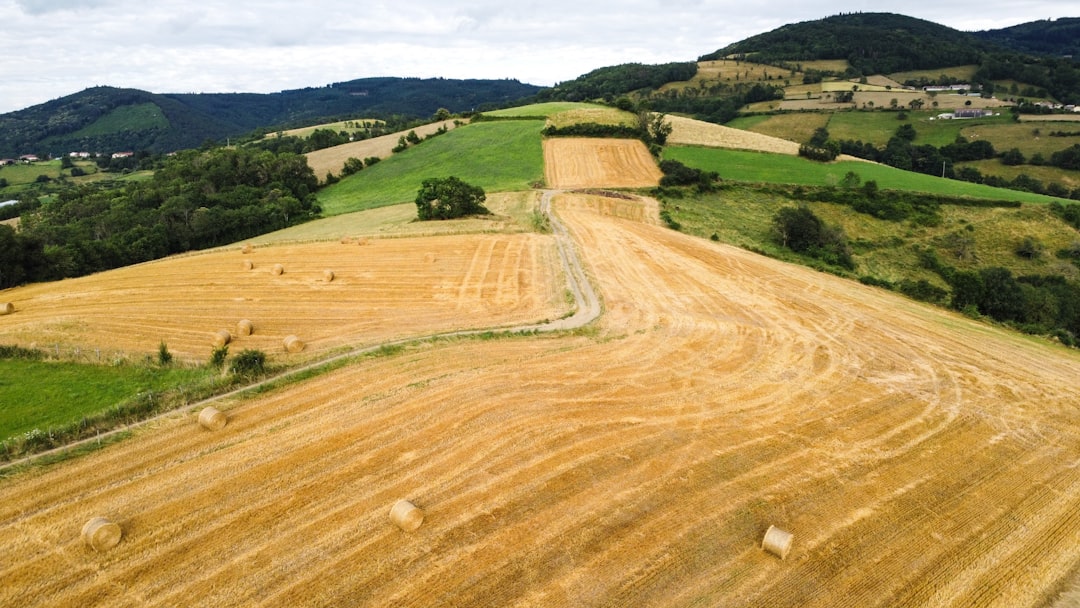 Agricultural pension