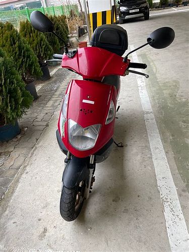 50cc스쿠터 보험