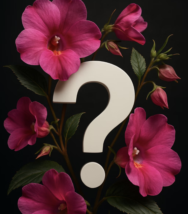 봉선화 꽃말 순결, 인내, 그리고 소녀 시절의 추억을 담은 의미