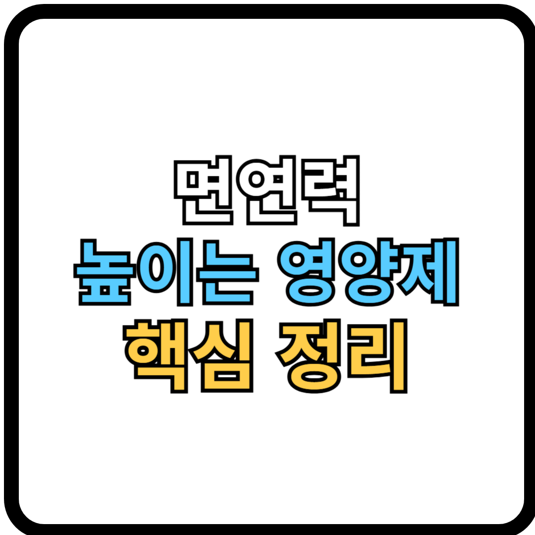 면역력 높이는 영양제, 꼭 챙겨야 할 핵심 정리