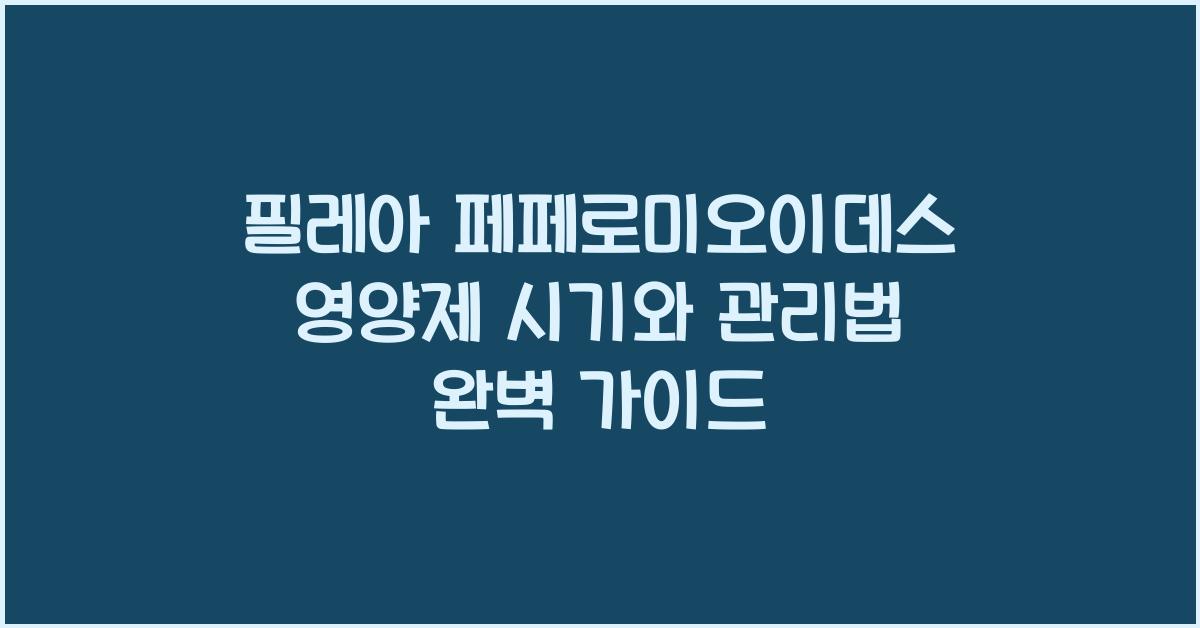 필레아 페페로미오이데스 영양제 시기