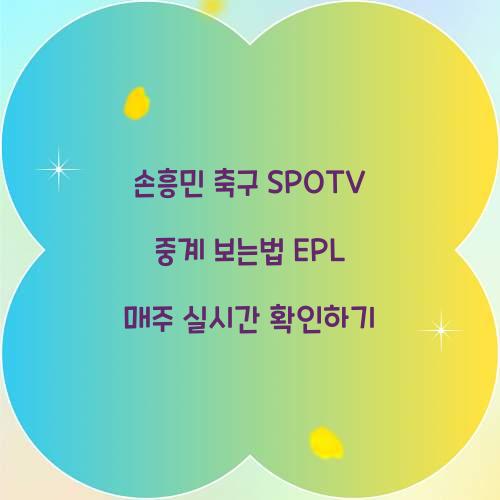 손흥민 축구 SPOTV 중계 보는법