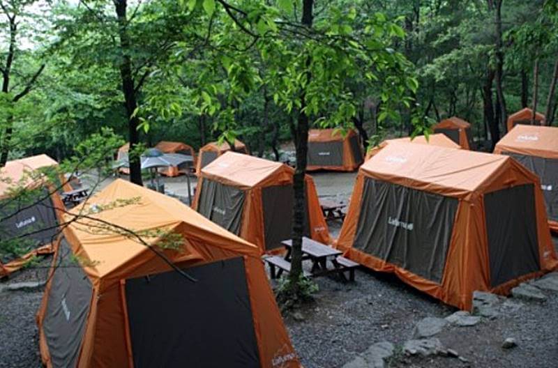 캠핌장-텐트가-펼쳐져있는-모습