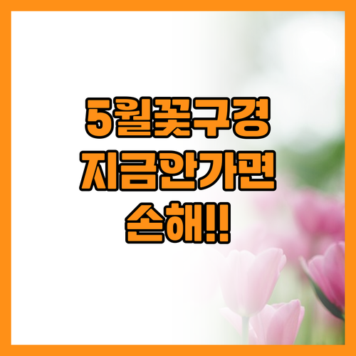 늦봄의 정점을 찍는 5월 꽃구경 여행..